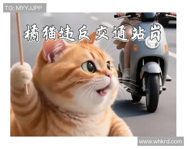 足球头盔猫的奇妙冒险与友谊故事探索猫咪与足球的完美结合